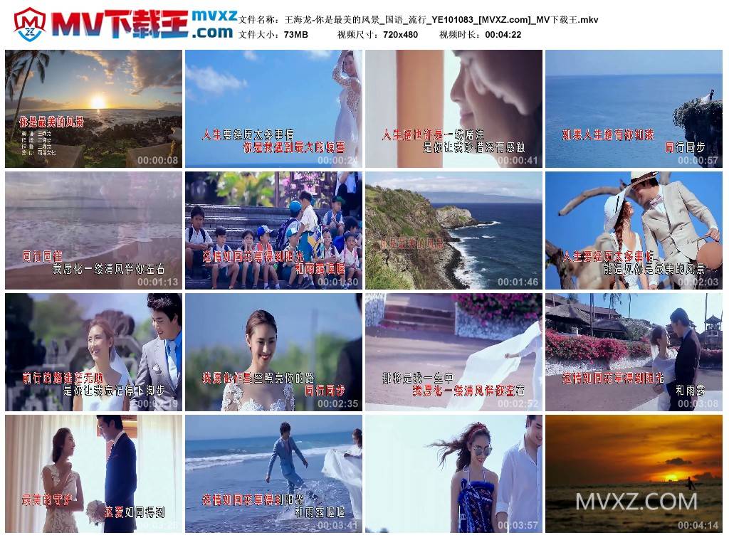 王海龙-你是最美的风景_国语_流行_YE101083